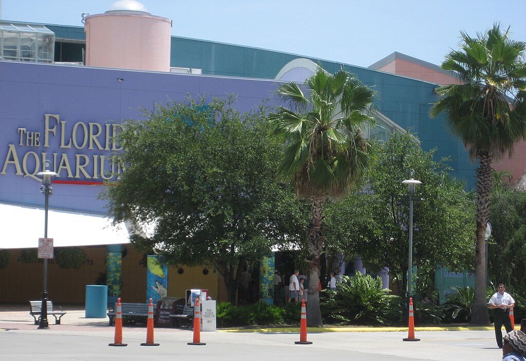 things to do in tampa fl,things to do in tampa florida,things to do in tampa fl today,things to do in tampa florida today,things to do in fl,things to do in florida