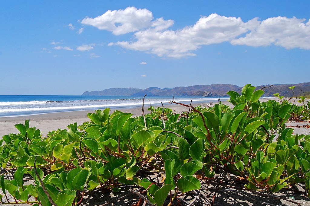 best beaches in costa rica,best beaches costa rica,costa rica beaches