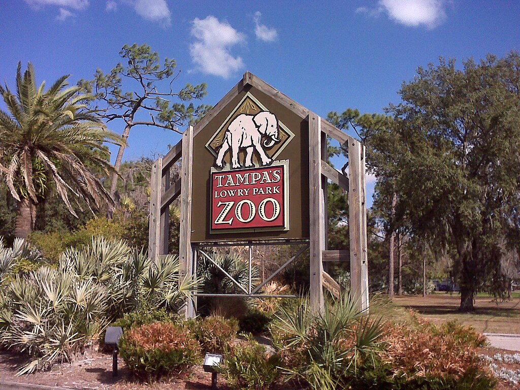things to do in tampa fl,things to do in tampa florida,things to do in tampa fl today,things to do in tampa florida today,things to do in fl,things to do in florida