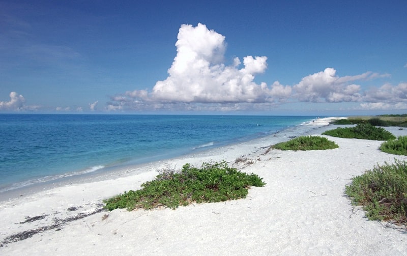 Sanibel Island Beach
