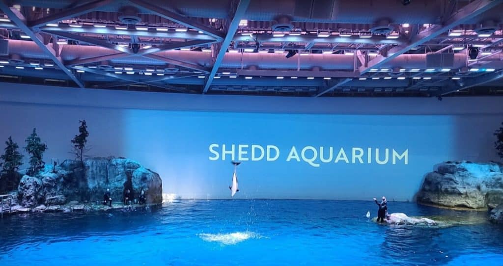 Shedd Aquarium