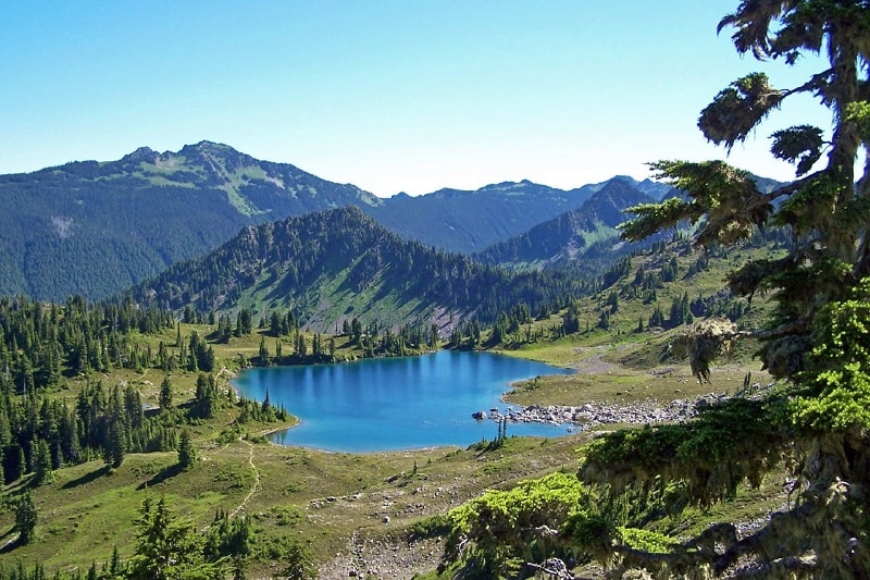 Seven Lakes Basin, Olympic National Park