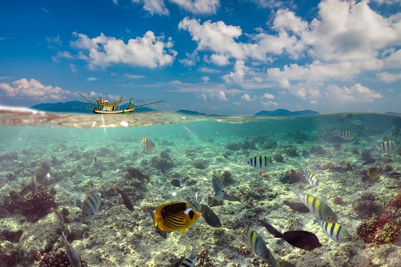 Snorkeling in Cook Islands