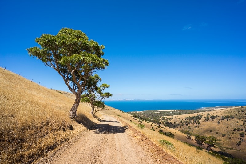 The Great Ocean Road