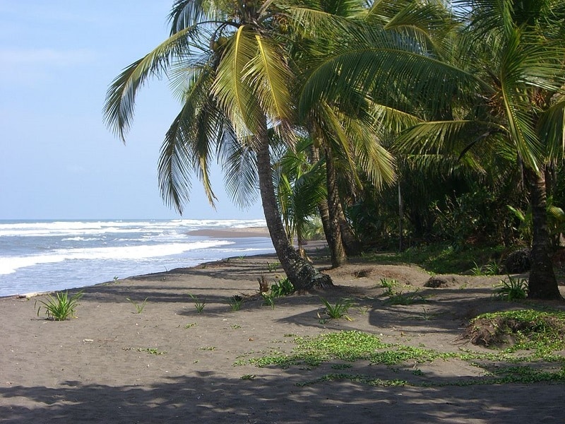 Tortuguero National Park