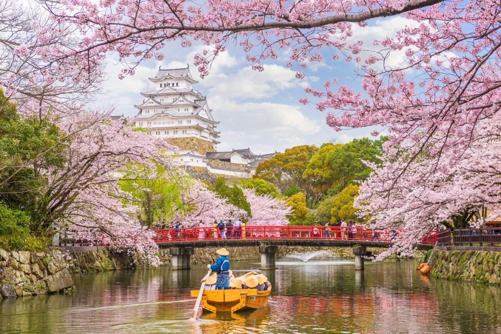 Himeji Castle in spring season