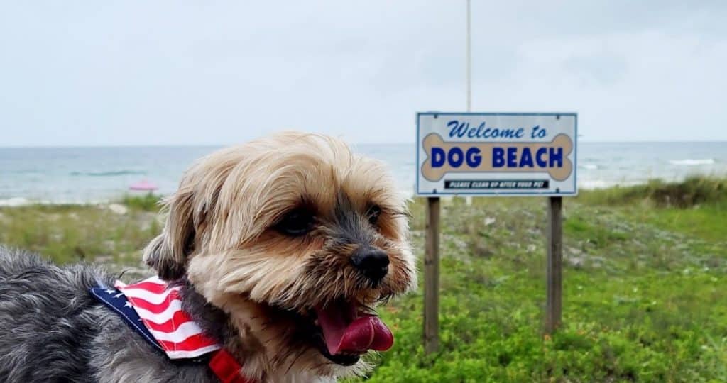 Panama City Dog Beach at Pier Park