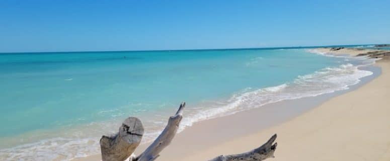 Dry Tortugas National Park