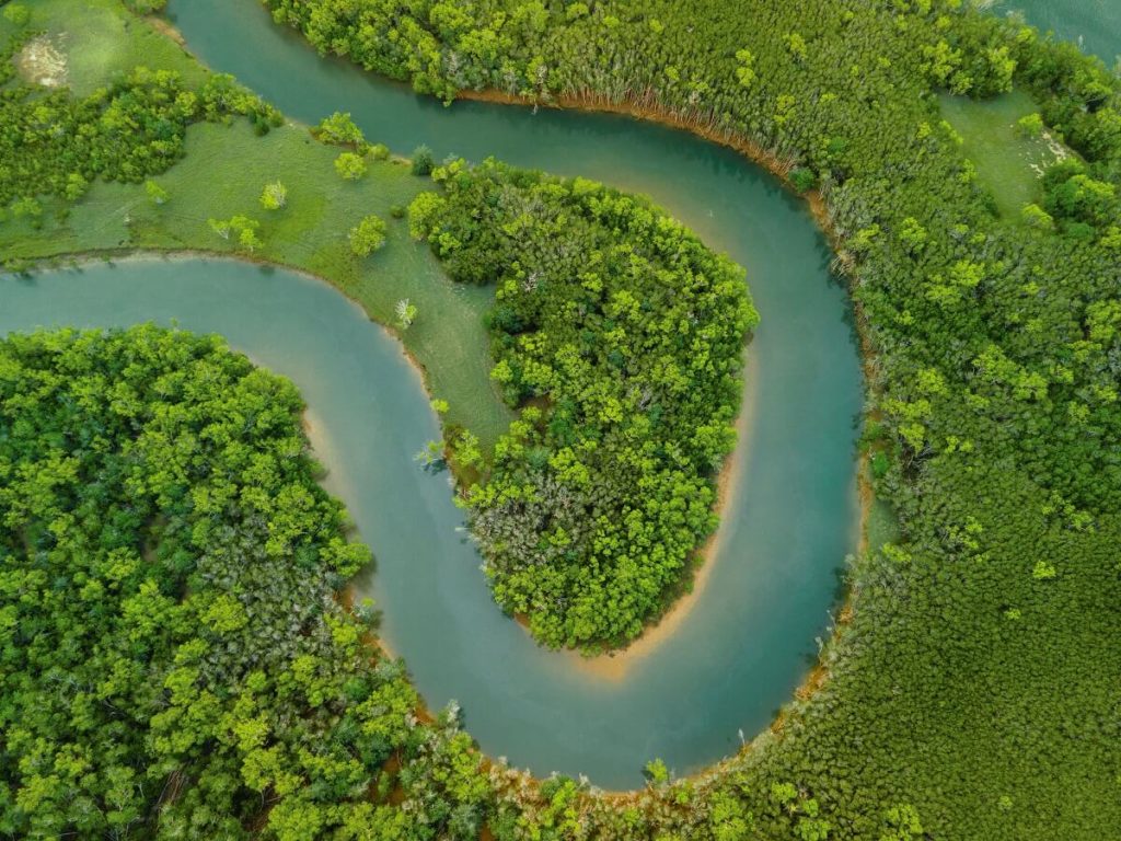Aerial View of the Amazon Rainforest
