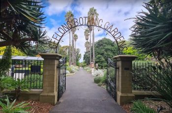 Geelong Botanic Gardens
