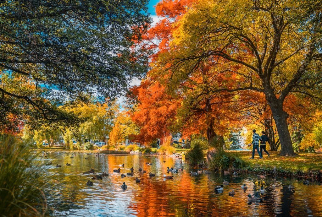 orange leaf trees beside river in Queenstown, New Zealand