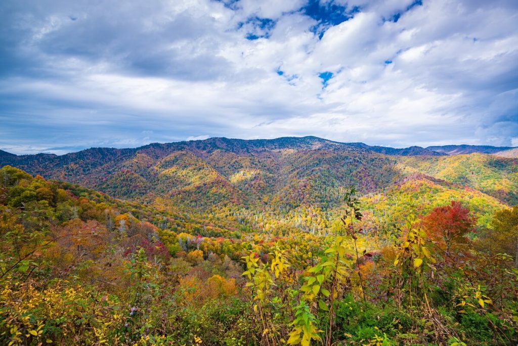 Great Smoky Mountains National Park, Tennessee, US